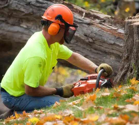 tree services High Shoals